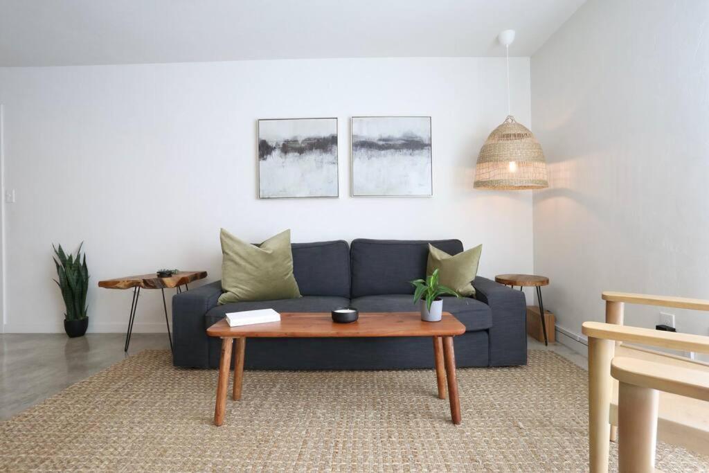 Concrete Suite 5 Min Walk To Shands Uf Gainesville Extérieur photo